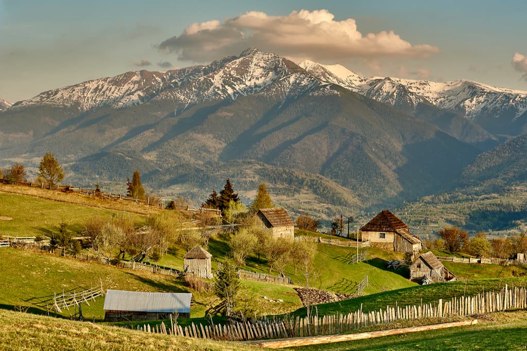 Cimitirul Vesel, Memorialul Sighet & Mănăstirile Maramureșului-4