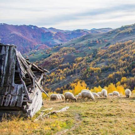 Magia Țării Moților – Apuseni, Peșteri, Tradiții și o seară specială cu Furdui Iancu