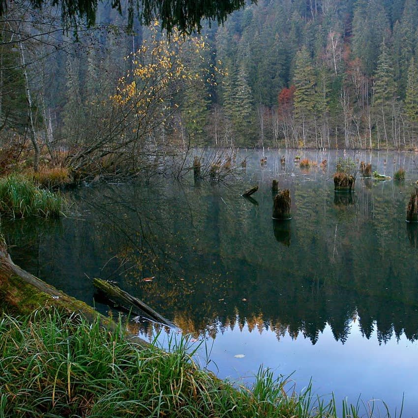 Excursie de o zi la Mănăstiri, Lacul Roșu și Cheile Bicazului din Vatra Dornei