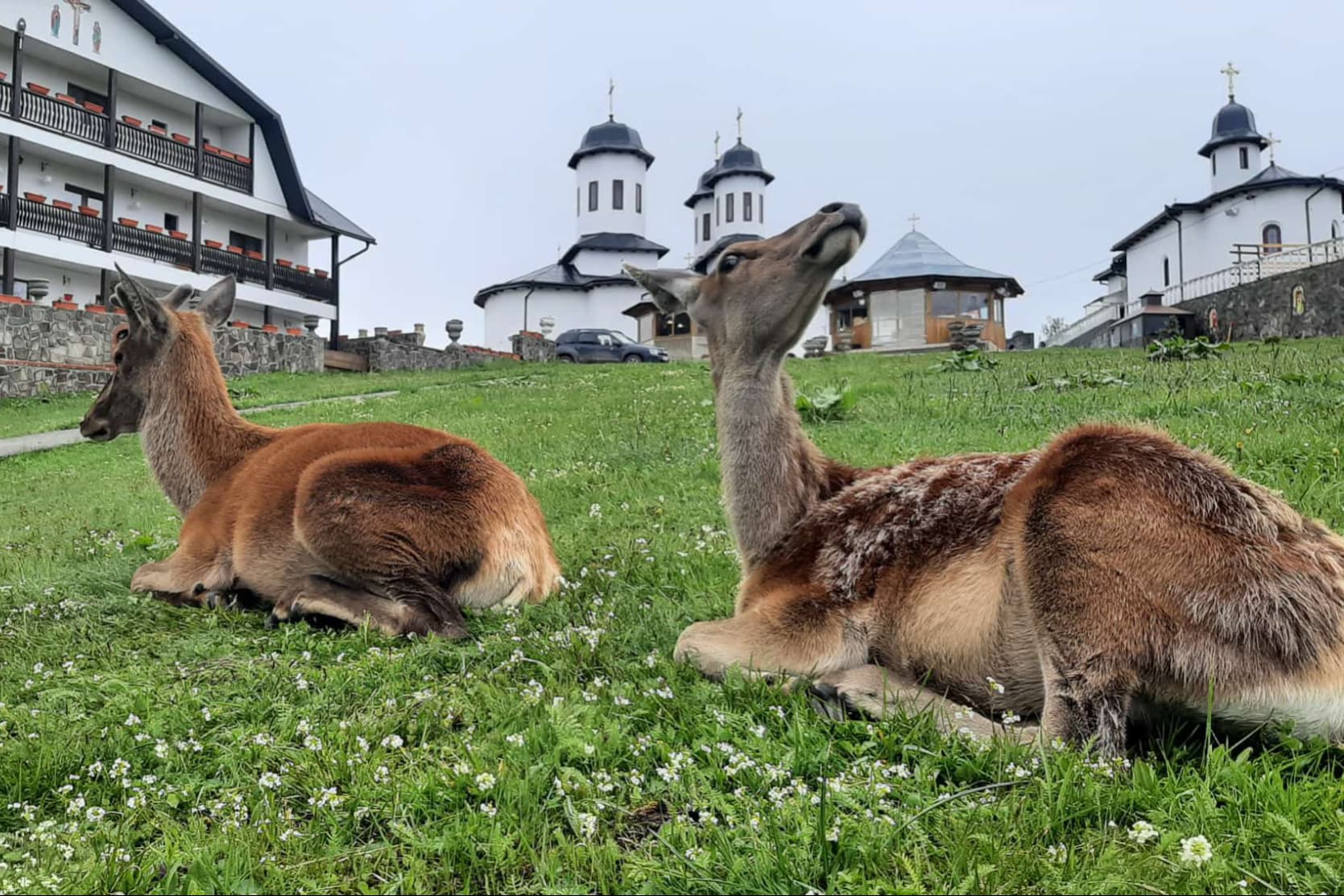 Manastirea Piatra Taieturii 2