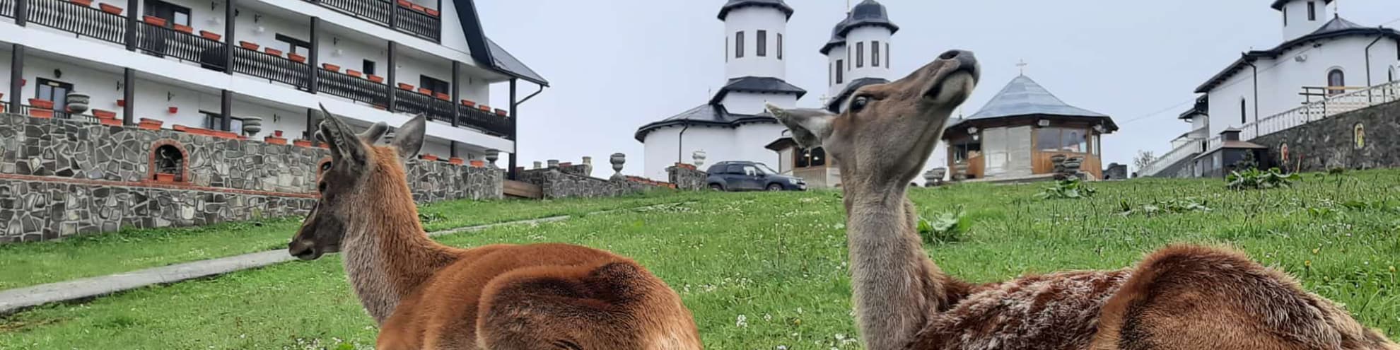 Manastirea Piatra Taieturii