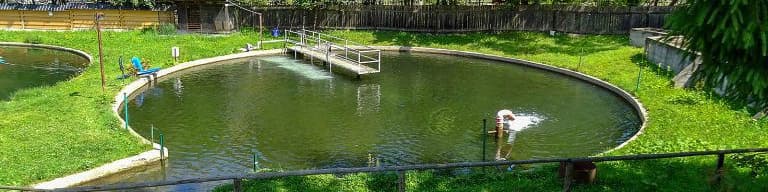 Hanul Păstrăvarului