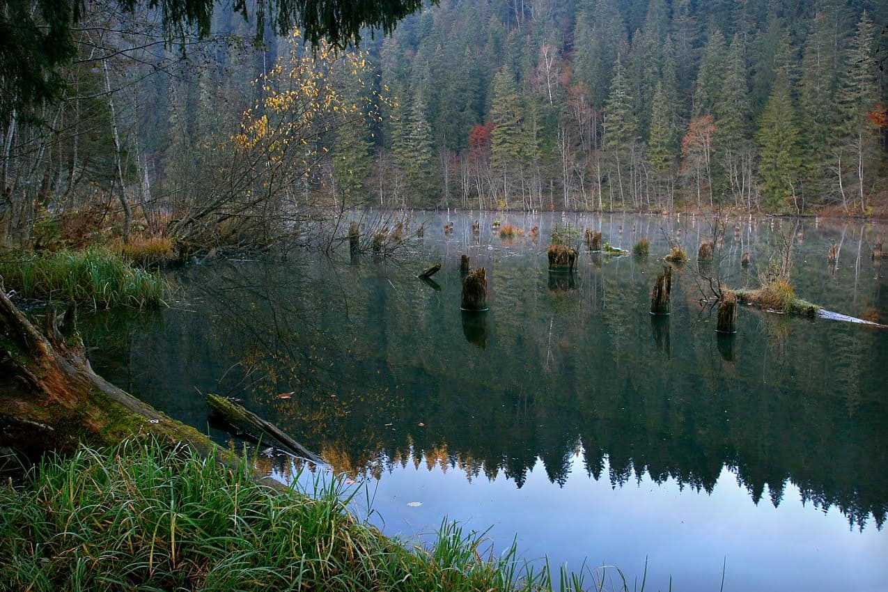 Excursie de o zi la Mănăstiri, Lacul Roșu și Cheile Bicazului din Vatra Dornei