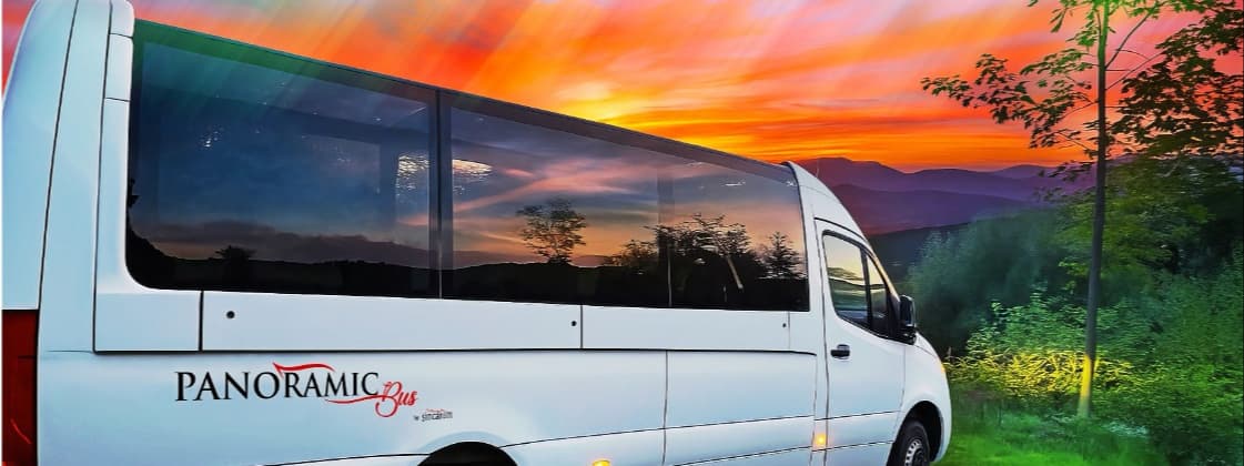 Excursii cu Panoramic Bus