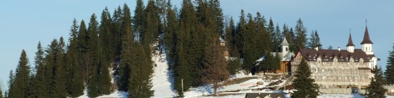 Manastirea Nasterea Maicii Domnului